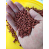 Red Plant Soil
